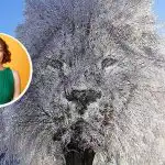 „Uždaras“ arba „bendraujantis“ žmogus: ką apie jus gali pasakyti optinė