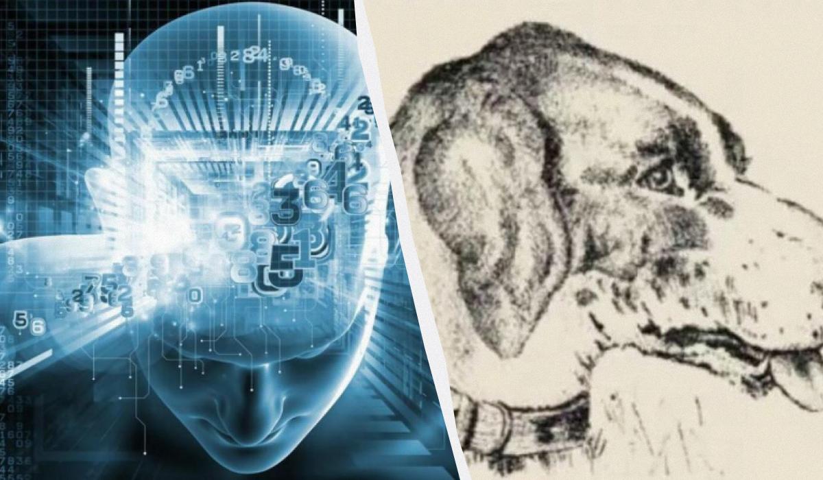 Optinė iliuzija su paslėptu skaičiumi