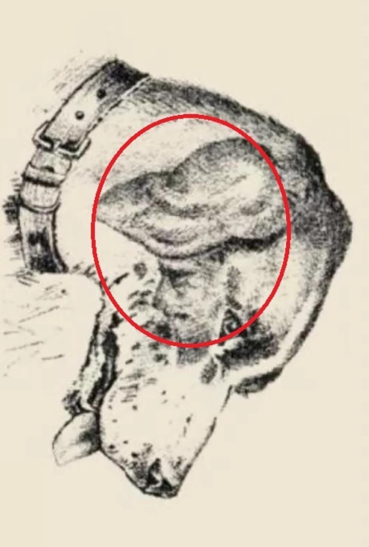 Papildoma optinė iliuzija