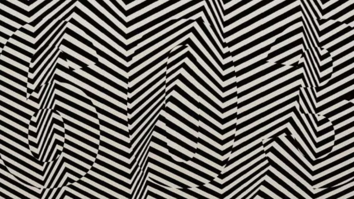 Dėlionė, lavinanti jūsų regėjimą: raskite paslėptą skaičių vos per 15 sekundžių Dėlionė, lavinanti jūsų regėjimą: raskite paslėptą skaičių vos per 15 sekundžių