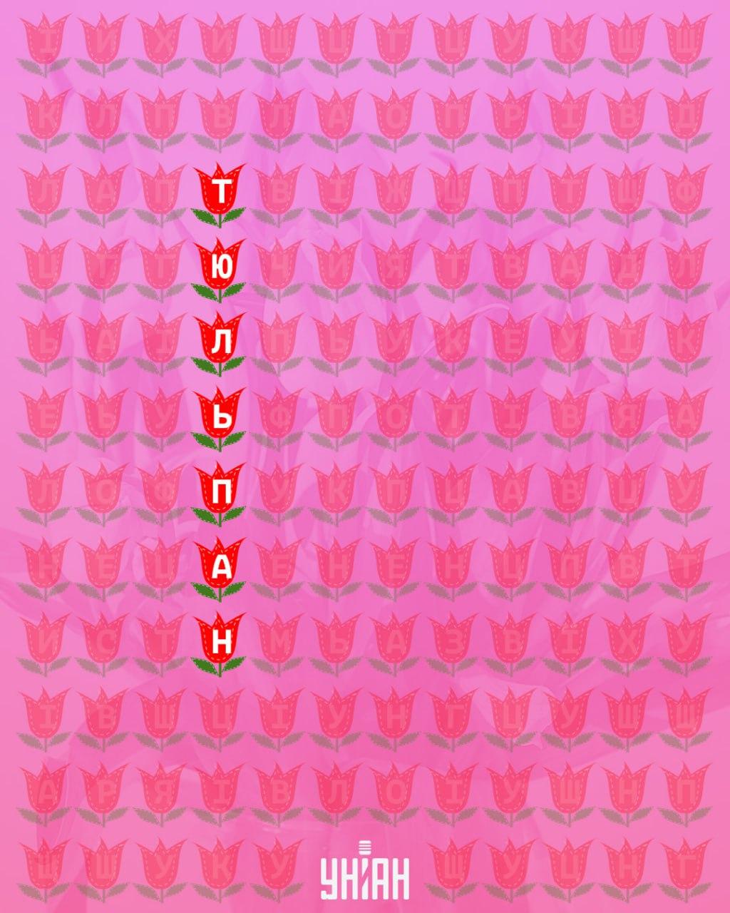 Ar per 11 sekundžių galite rasti žodį „tulpė“: labai sudėtinga optinė apgaulė