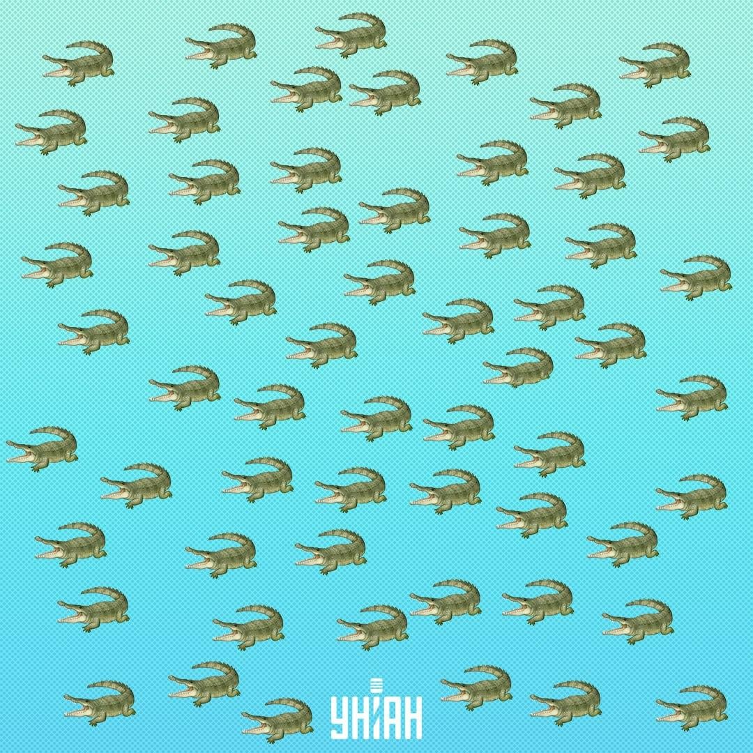 Roplys pasislėpė, bet jį reikia pamatyti per 15 sekundžių / Moje koliažas Roplys pasislėpė, bet jį reikia pamatyti per 15 sekundžių / Moje koliažas