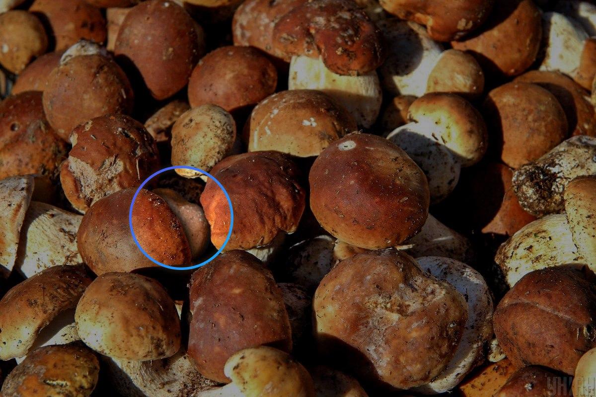 Akmuo buvo beveik optinės iliuzijos / Moje koliažo centre Akmuo buvo beveik optinės iliuzijos / Moje koliažo centre