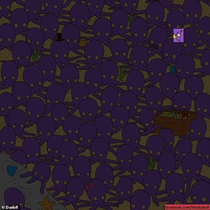 Galvosūkis genijams: tik nedaugelis ras žuvį tarp aštuonkojų per 45 sekundes Galvosūkis genijams: tik nedaugelis ras žuvį tarp aštuonkojų per 45 sekundes