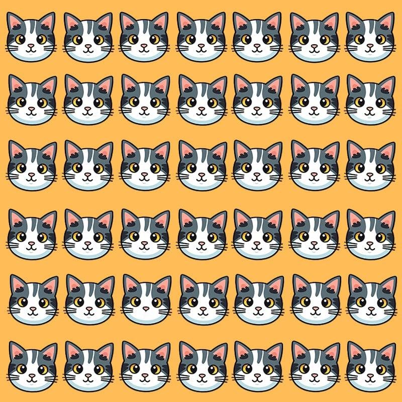 Ši optinė apgaulė įmanoma tik žmonėms, turintiems puikų IQ / vaizdą Moje Ši optinė apgaulė įmanoma tik žmonėms, turintiems puikų IQ / vaizdą Moje