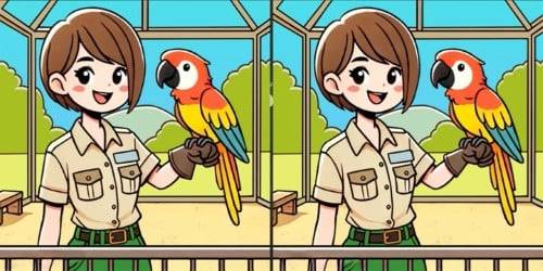 galvosūkis galvosūkis