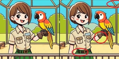 galvosūkis galvosūkis