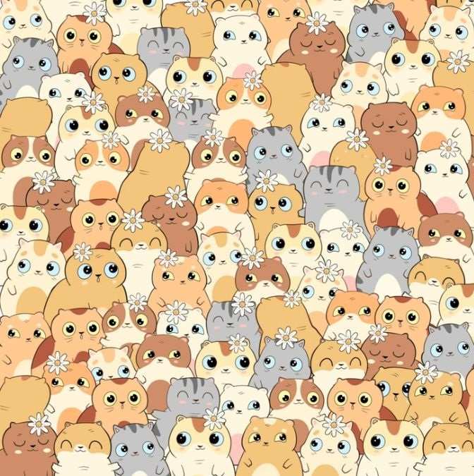 Turite tik 11 sekundžių: tarp kačių bulvių ras tik patys dėmesingiausi