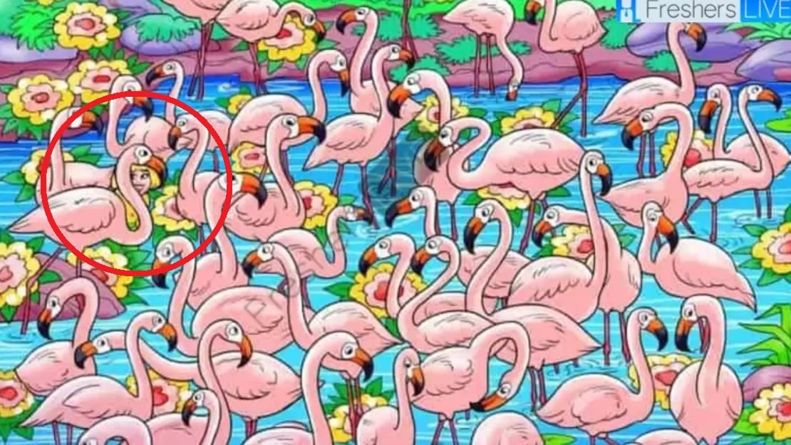Raskite merginą tarp flamingų per 8 sekundes: šis galvosūkis apvers jums galvą Raskite merginą tarp flamingų per 8 sekundes: šis galvosūkis apvers jums galvą