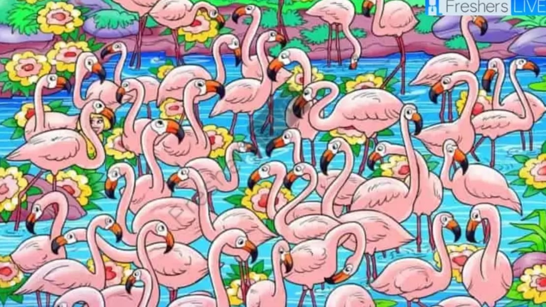 Raskite merginą tarp flamingų per 8 sekundes: šis galvosūkis apvers jums galvą Raskite merginą tarp flamingų per 8 sekundes: šis galvosūkis apvers jums galvą
