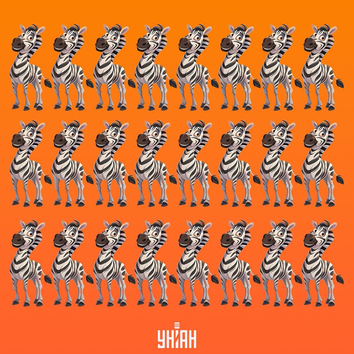 Turime laiku rasti zebrą, kuris nepanašus į kitus / Moje koliažas Turime laiku rasti zebrą, kuris nepanašus į kitus / Moje koliažas