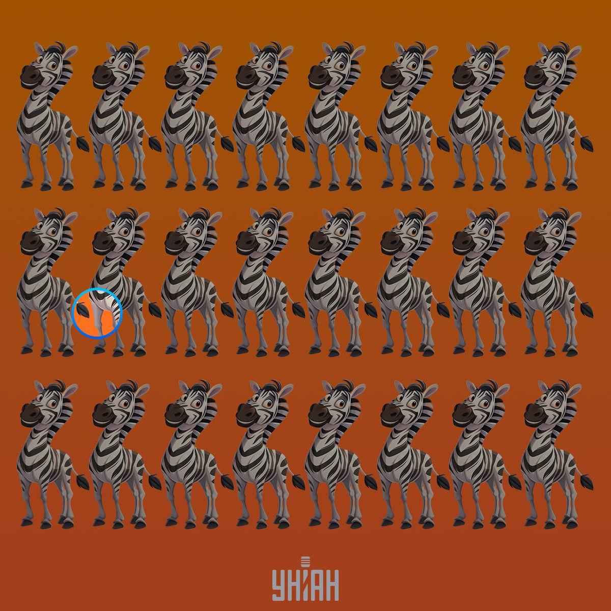 Keistas zebras buvo antroje eilutėje nuo viršaus / Moje koliažas Keistas zebras buvo antroje eilutėje nuo viršaus / Moje koliažas