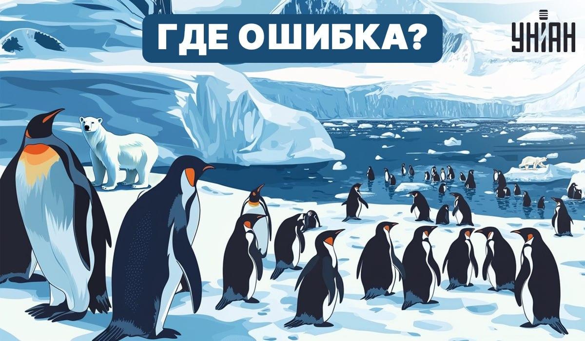 Ar galite suprasti, kas negerai nuotraukoje? / Moje