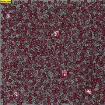 Teisingas galvosūkio atsakymas Teisingas galvosūkio atsakymas