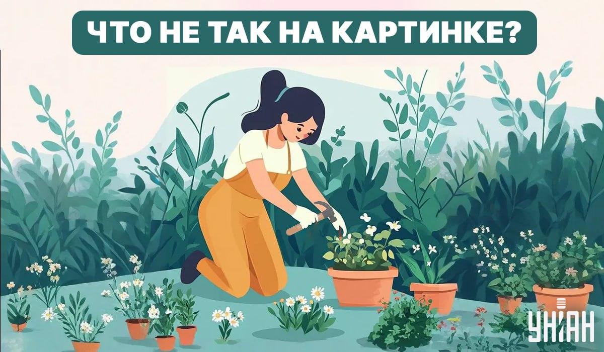 Pabandykite rasti klaidą / koliažą - Moje