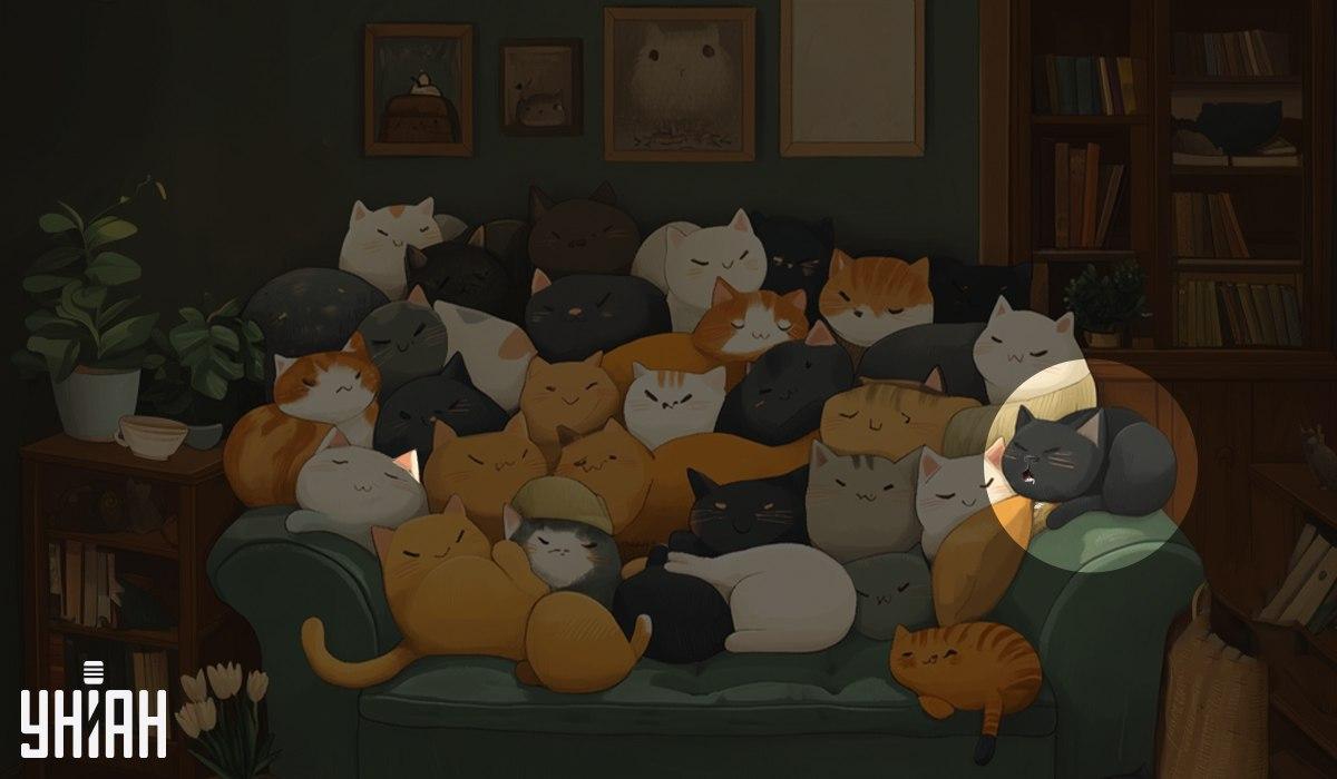 koliažas Moje koliažas Moje