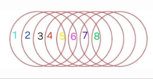 Dėlionė su nuotrauka/nuotrauka Instagram