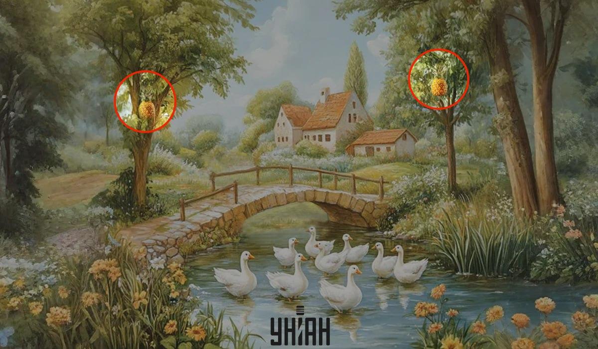 koliažas Moje koliažas Moje