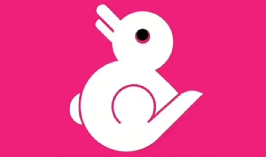 Kas buvo pirmas dalykas, kurį pamatei?