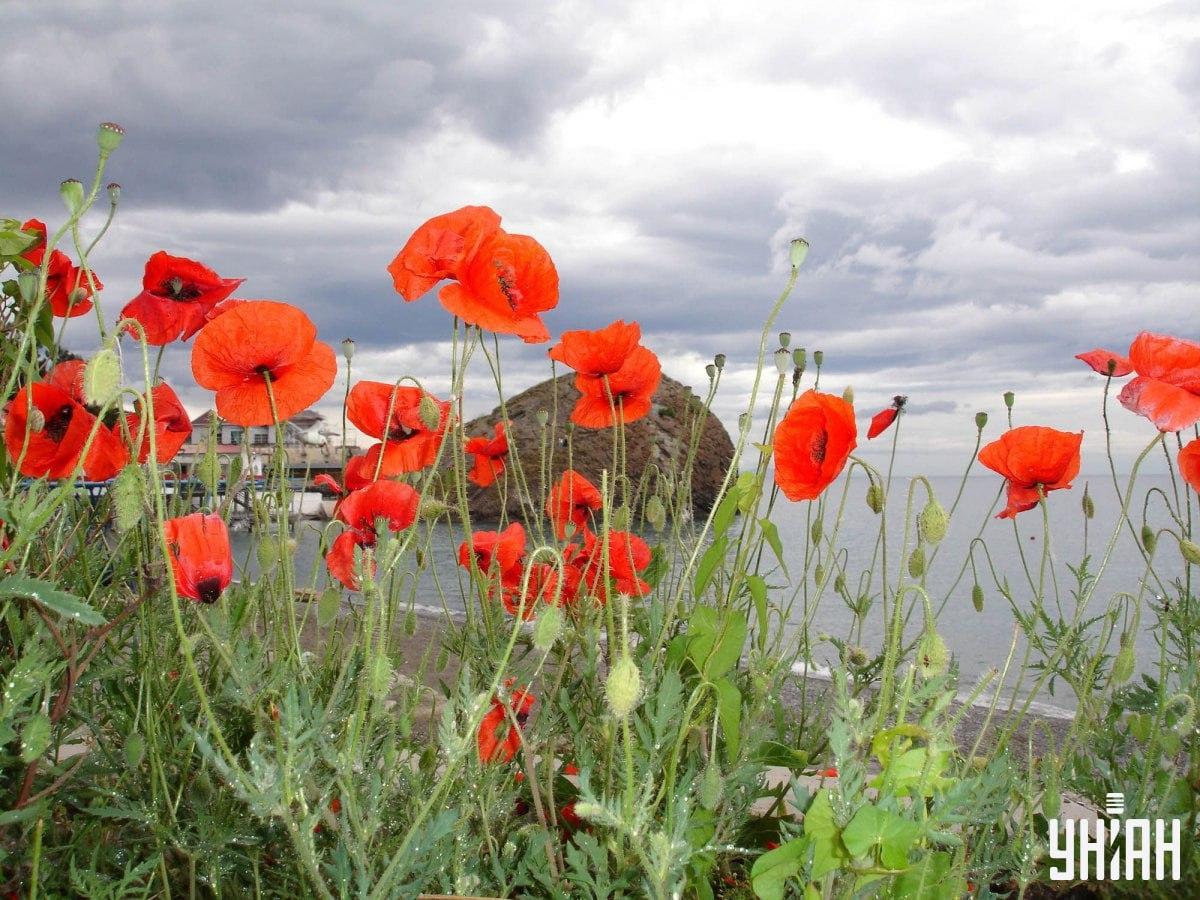 nuotrauka Moje nuotrauka Moje