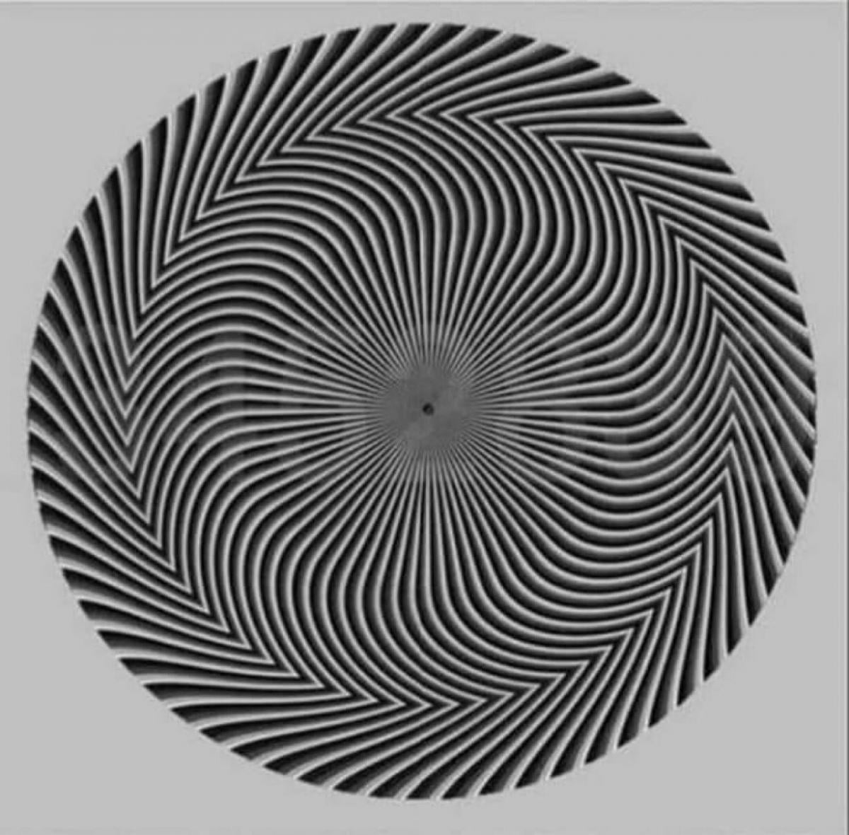 Tik protingas žmogus, turintis gerą regėjimą, ras skaičius: žavi optinė apgaulė Tik protingas žmogus, turintis gerą regėjimą, ras skaičius: žavi optinė apgaulė