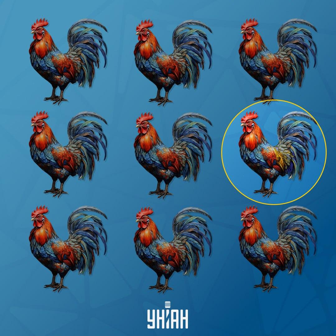 Gaidys, kuris skiriasi nuo kitų, buvo kairėje / Moje koliažas