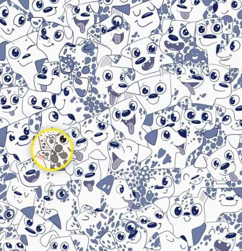 Drugelis buvo dešinėje / Brightside piešinys