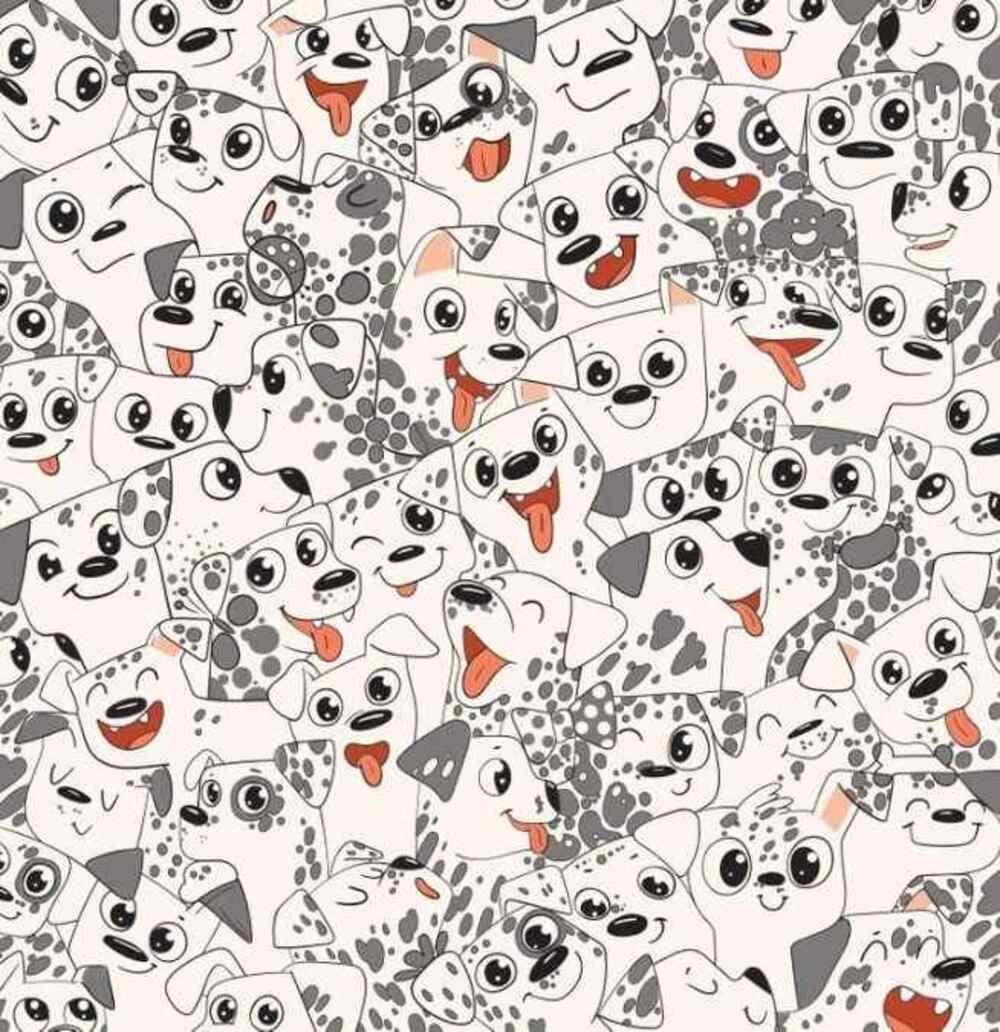 Stenkitės kuo greičiau surasti drugelio / Brightside piešinį