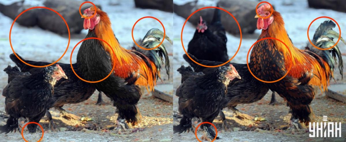 Reikėjo atkreipti dėmesį į mažas detales / Moje koliažas Reikėjo atkreipti dėmesį į mažas detales / Moje koliažas