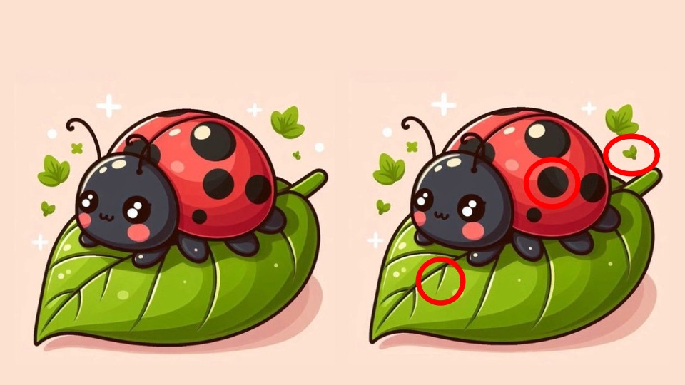 galvosūkis galvosūkis