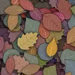 IQ testas turintiems HD regėjimą: raskite varlę lapuose per 6