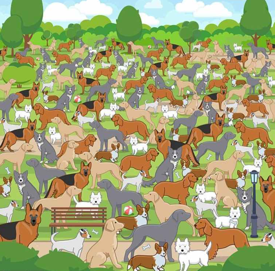 nuotrauka Jagranjosh