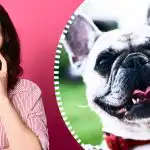 Itin sudėtinga optinė apgaulė: tik tikras detektyvas suras šunį per 10 sekundžių Itin sudėtinga optinė apgaulė: tik tikras detektyvas suras šunį per