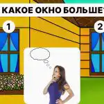 Kuris langas didesnis: norint teisingai atsakyti per 5 sekundes, reikia turėti aukštą IQ Kuris langas didesnis: norint teisingai atsakyti per 5 sekundes, reikia