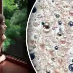 Optinė apgaulė dėmesingiausiems: paslėptą deimantą suras tik genijai