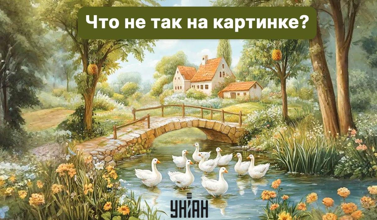 koliažas Moje koliažas Moje