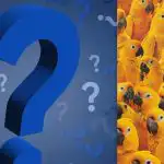 Per 9 sekundes reikia rasti viščiuką tarp dešimčių papūgų: galvosūkis