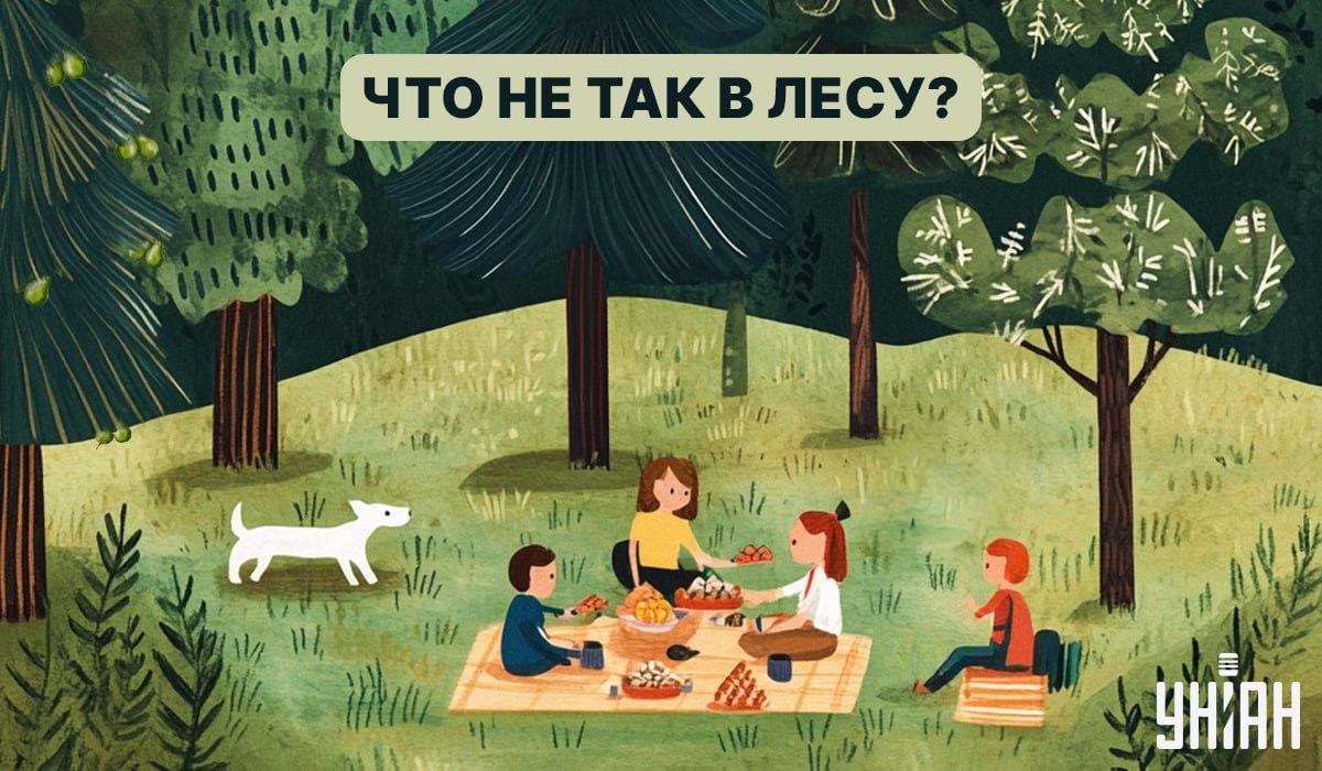 Raskite klaidą miške per 5 sekundes: greitas IQ testas