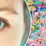 Raskite merginą tarp flamingų per 8 sekundes: šis galvosūkis apvers