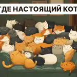 Raskite tikrą katę per 5 sekundes: labai paprastas IQ testas Raskite tikrą katę per 5 sekundes: labai paprastas IQ testas