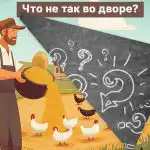 Reikia rasti didelę klaidą kaimo kieme per 5 sekundes: įdomus