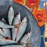 Reikia rasti žuvį tarp kačių: įdomus galvosūkis žmonėms, turintiems erelio regėjimą Reikia rasti žuvį tarp kačių: įdomus galvosūkis žmonėms, turintiems erelio