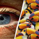 Stebėtinai sudėtingas galvosūkis: per 7 sekundes turite rasti pelikaną tarp