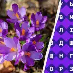 Tik 1% žmonių gali rasti žodį „krokusas“ per 11 sekundžių: