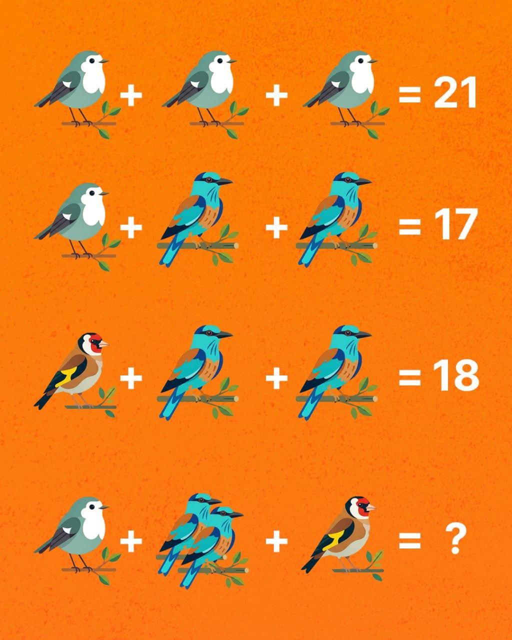 Tik genijus gali suskaičiuoti visus paukščius: stebėtinai sunkus galvosūkis Tik genijus gali suskaičiuoti visus paukščius: stebėtinai sunkus galvosūkis