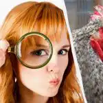 Tik puikus detektyvas per 15 sekundžių ras 5 skirtumus: labai