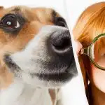 Tik tikras IQ titanas šunį sniege išvys per 10 sekundžių: kvapą gniaužianti optinė apgaulė Tik tikras IQ titanas šunį sniege išvys per 10 sekundžių: