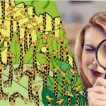 Tik žmonės, turintys aukštą IQ, per 11 sekundžių suras gyvatę