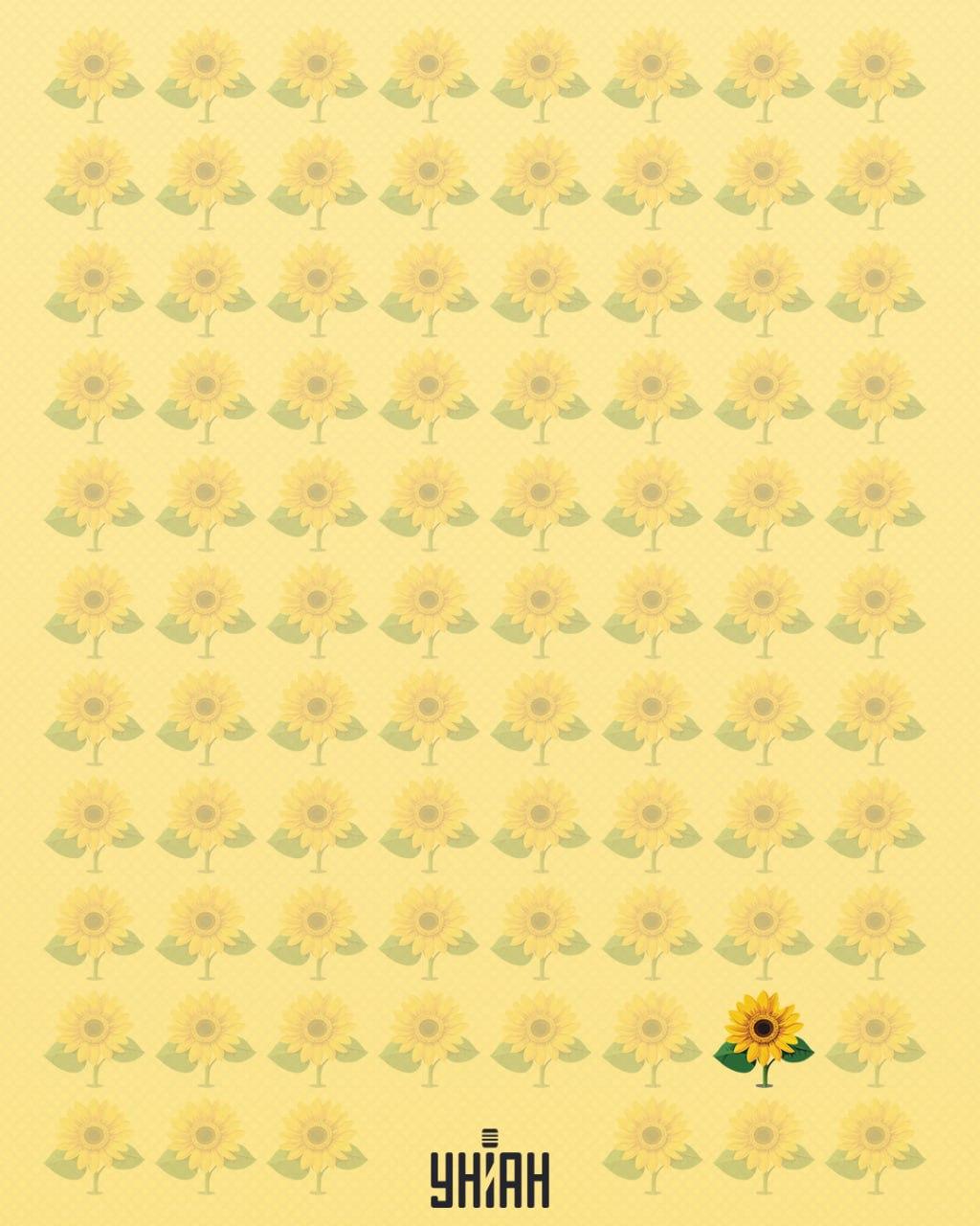 Saulėgrąža, kuriai trūksta žiedlapio, buvo vadinama keista / Moje koliažas