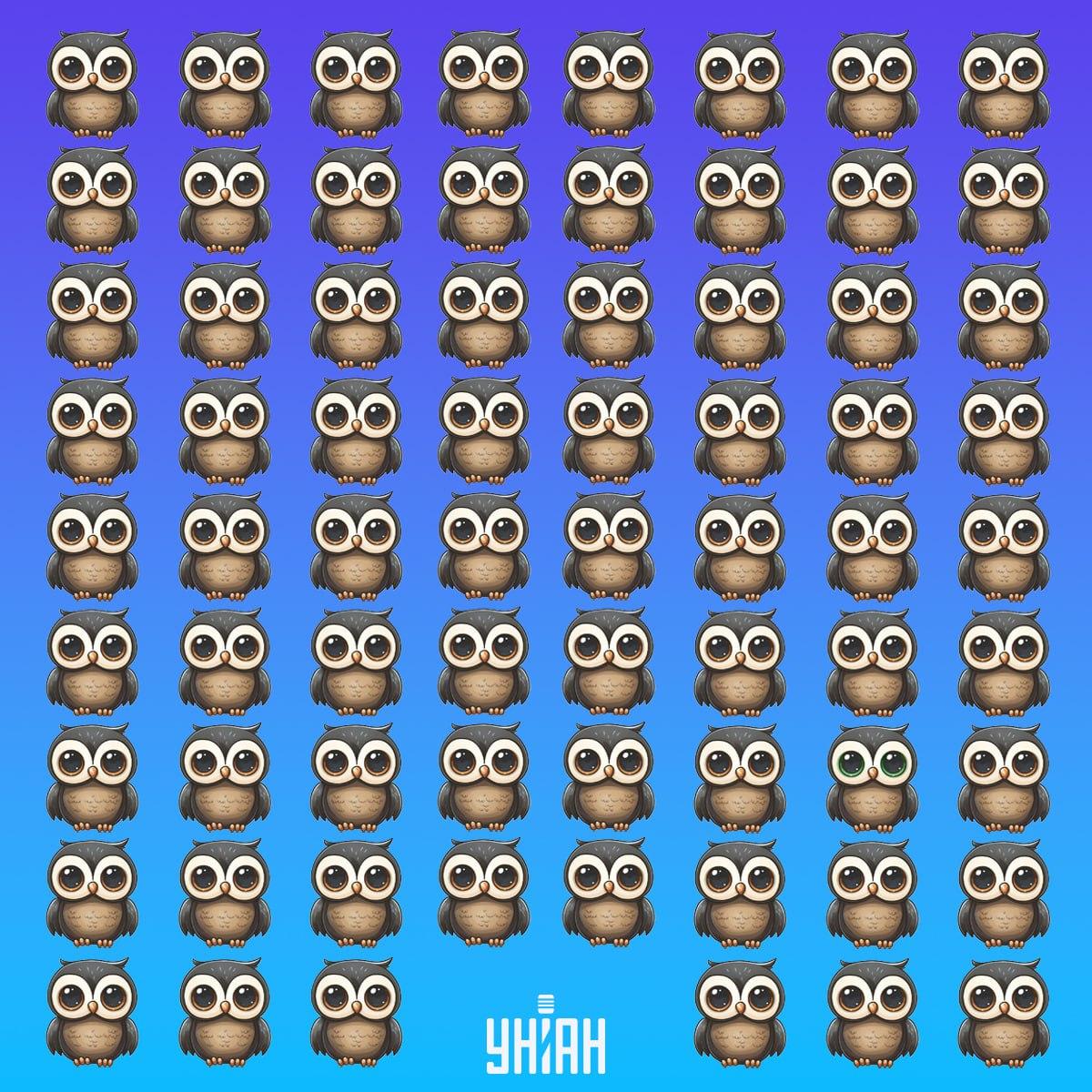 Laiku raskite retą paukštį / Moje koliažas